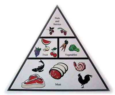 Paleolithic Food Pyramid